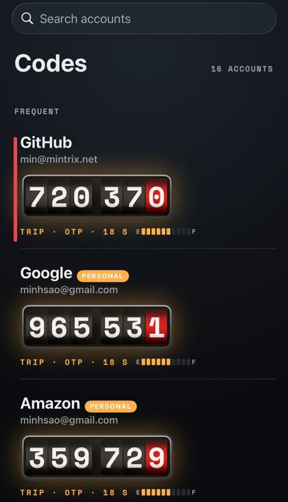 Odometer skin